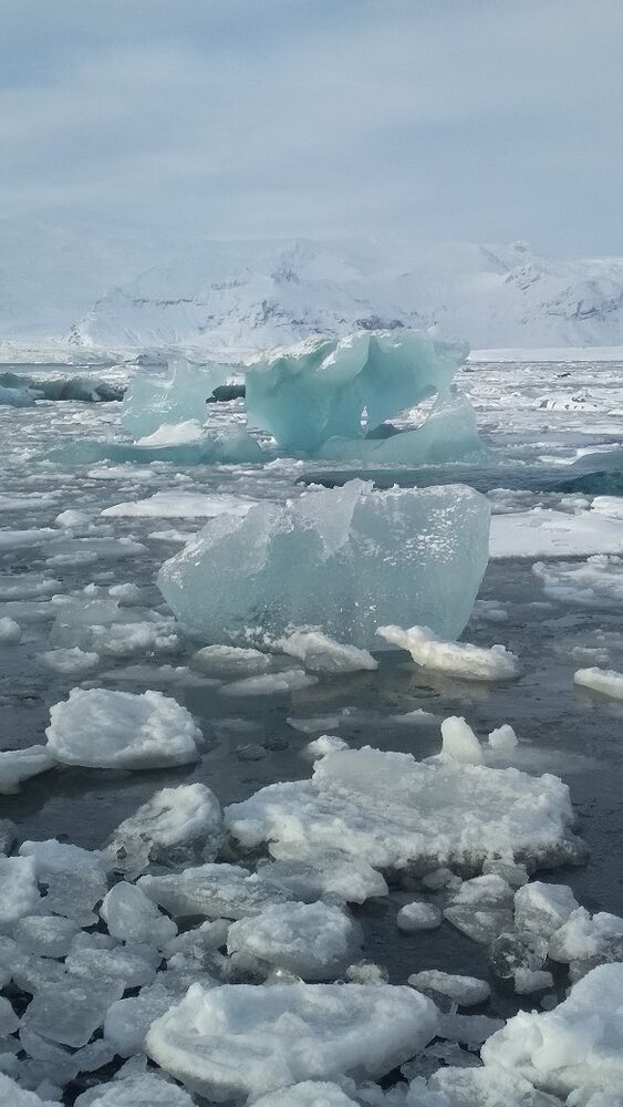 Eisberge vor Island